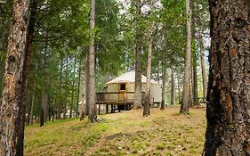 Yosemite Lakes Hillside Yurt 4